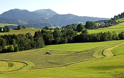 Genossenschaft in der Region Allgäu