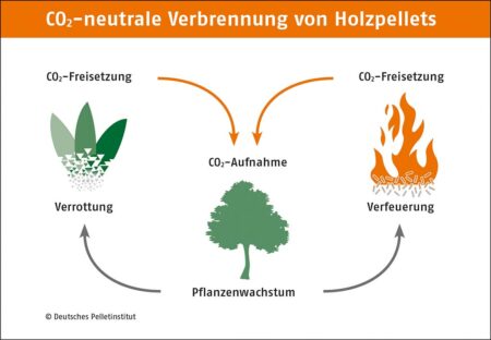 Grafik DEPI CO2 neutrale Verbrennung Holzpellets
