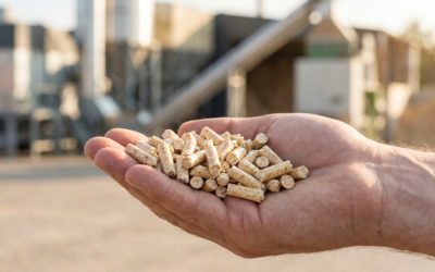 Was sind Holzpellets?